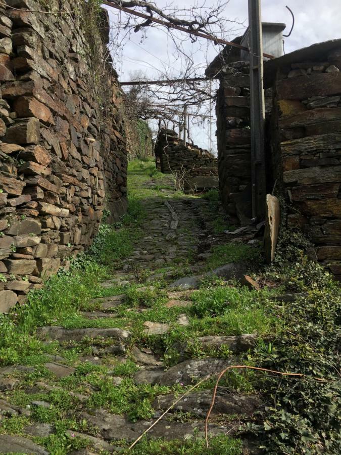 فيلا Casa Do Volframio اروكا المظهر الخارجي الصورة